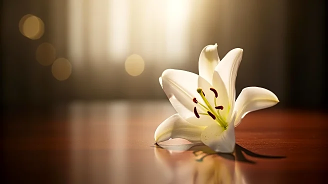 Tributes Pour in for Actor Eric Dane Following His Death at 53