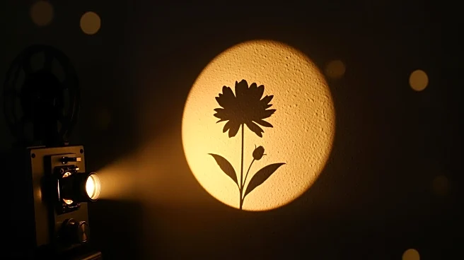 Gemma Chan Discusses Emotional Connection to Film 'Josephine' and Its Impact