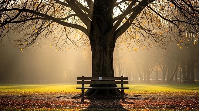 Hilary Duff Opens Up About Estrangement from Sister Haylie, Expresses Loneliness