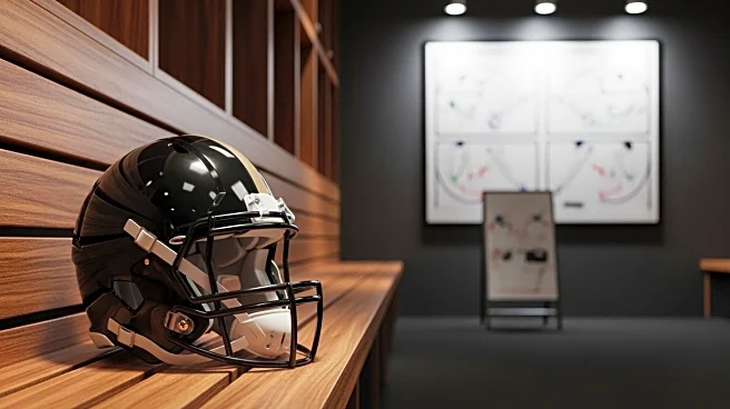 Roman Wilson Faces Crucial 2026 Season with Pittsburgh Steelers Amid Coaching Changes