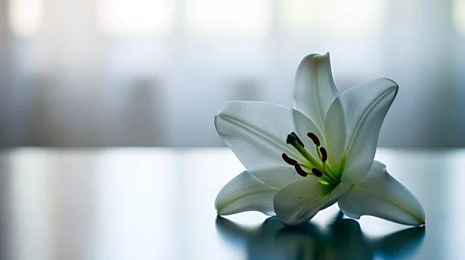 Nicole 'Snooki' Polizzi Diagnosed with Stage 1 Cervical Cancer