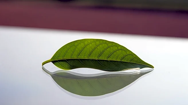 LyondellBasell CFO to Discuss Sustainable Solutions at Global Agriculture Conference