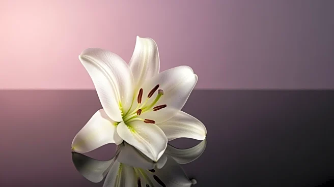 Nicole 'Snooki' Polizzi Discloses Stage 1 Cervical Cancer Diagnosis to Raise Awareness