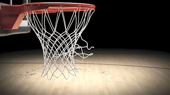 Rudy Gobert Faces Suspension After Flagrant Foul Against Dallas Mavericks