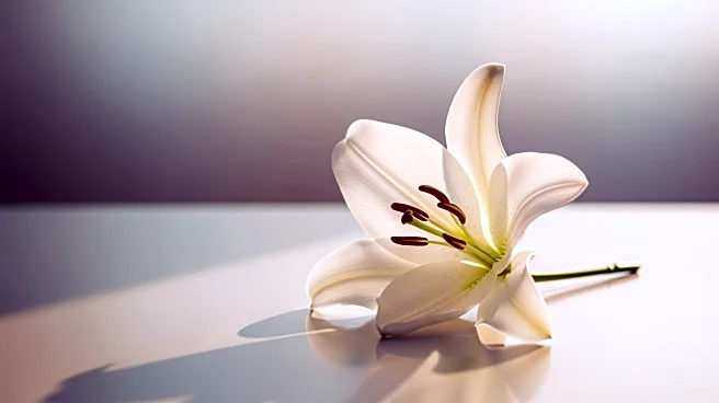 Nicole 'Snooki' Polizzi Diagnosed with Stage 1 Cervical Cancer, Plans for Treatment