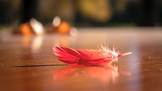 Arizona Cardinals Mourn the Loss of Former Player Rondale Moore