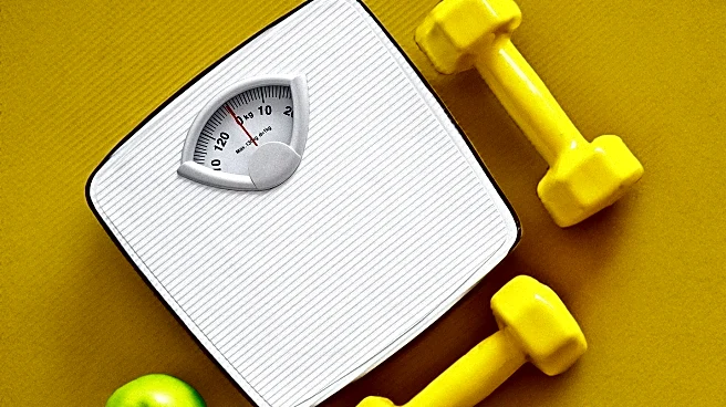 Smart Scales of 2026: Insights into Body Composition and Health Metrics