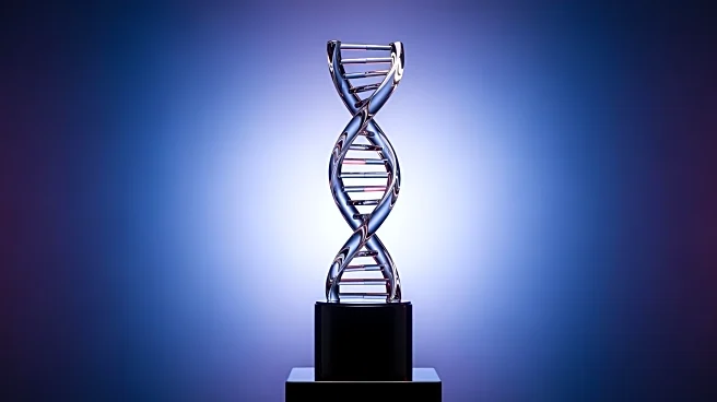 DNA MMA Honored with 2026 Global Recognition Award for Leadership and Mentorship Excellence