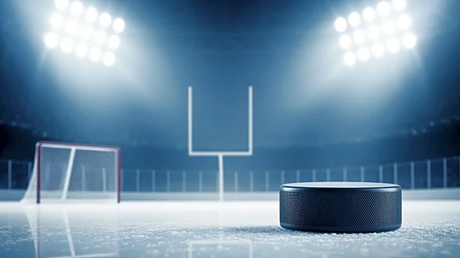 Florida Panthers Aim for Playoff Spot with Upcoming Games Against Key Rivals