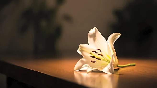 'The Real L Word' Star Francine Beppu Passes Away at 43