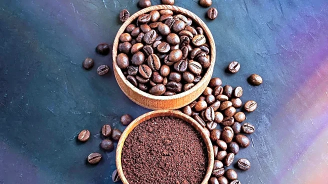 Australian Woman Transforms 40,000 Coffee Pods into Earrings to Combat Waste