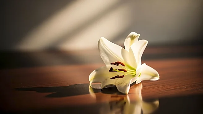 Martin Short's Daughter Katherine Short Passes Away at 42