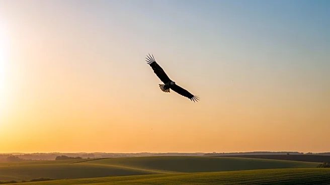 American Eagle Partners with Country Star Bailey Zimmerman for New Campaign