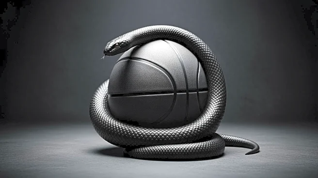 Michael Jordan's Fear of Snakes Led to Kobe Bryant's 'Black Mamba' Nike Campaign