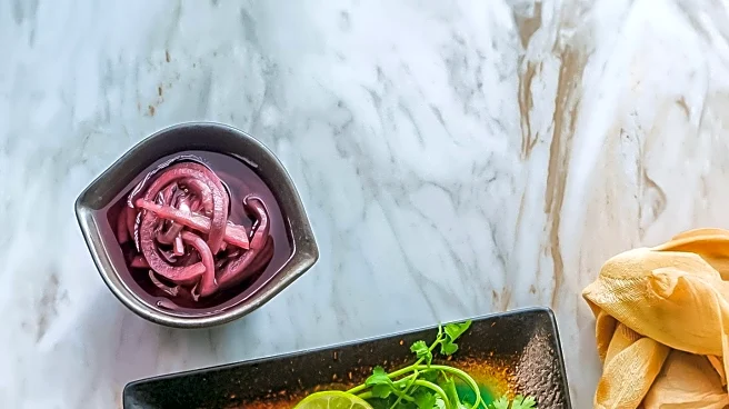 Alto in Studio City Redefines South American Cuisine with Modernist Approach