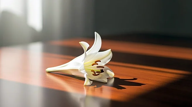 Hilary Duff Addresses 'Toxic Mom Group' Drama Amid Online Discussions