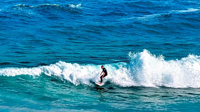 Hawaii Man Combats Gambling Addiction by Offering Free Surf Lessons