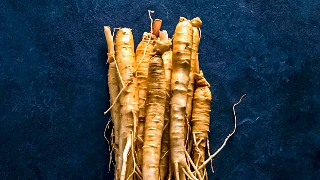 Mary Louise Rago Remembered for Her Community Contributions