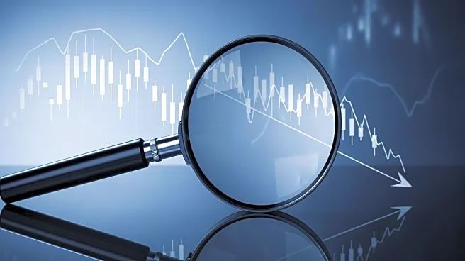 Investigation Launched into Oddity Tech Ltd. Following Stock Price Plunge