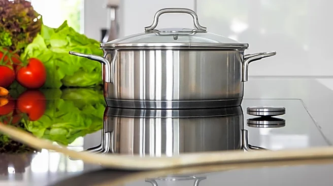 Induction Stoves Gain Popularity Amid Health and Efficiency Concerns