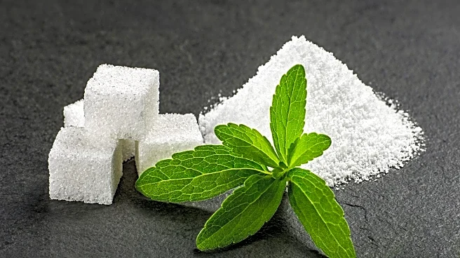 Study Links Sugar Substitutes to Accelerated Cognitive Decline