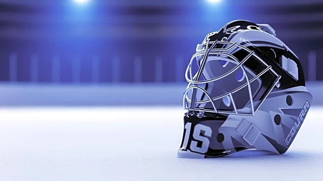 Ducks' Lukas Dostal to Start Against Calgary in NHL Matchup