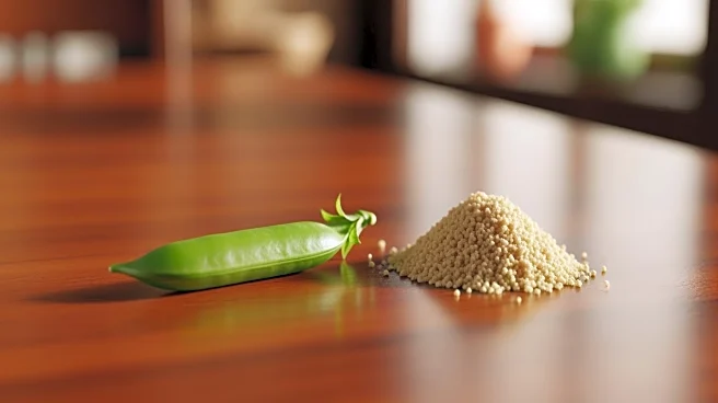 High Costs Persist for Plant-Based Meats Amidst Industry Challenges