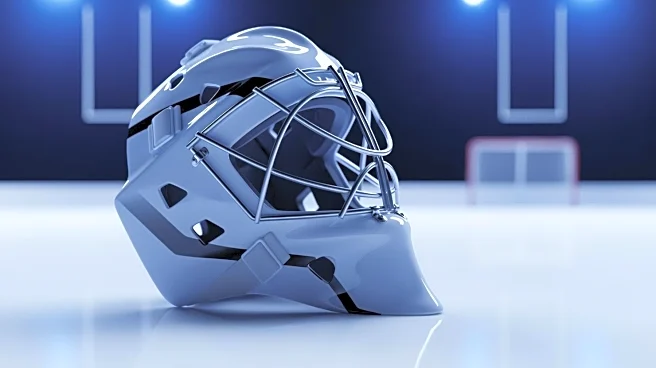 Maple Leafs' Anthony Stolarz: Stellar Performance in Relief Against Senators