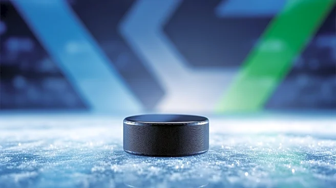 St. Louis Blues Begin Crucial Road Trip Against Minnesota Wild