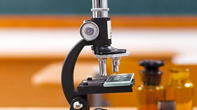 B-WISER STEM Camp Returns to College of Wooster, Encouraging Girls in Science