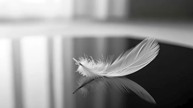 Kelly Osbourne Condemns Body-Shaming After Brit Awards Appearance