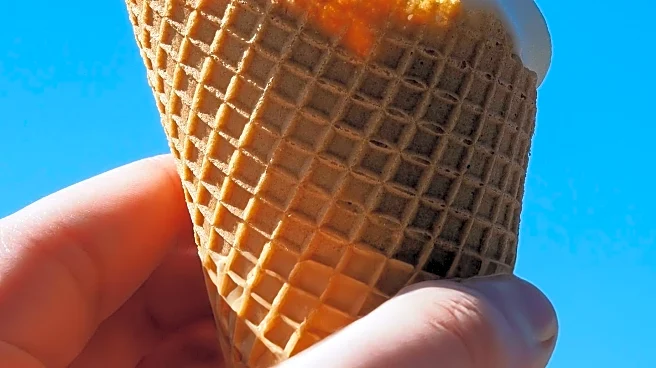 Minnesota Dairy Queen's March 1 Opening Draws Crowds Despite Cold