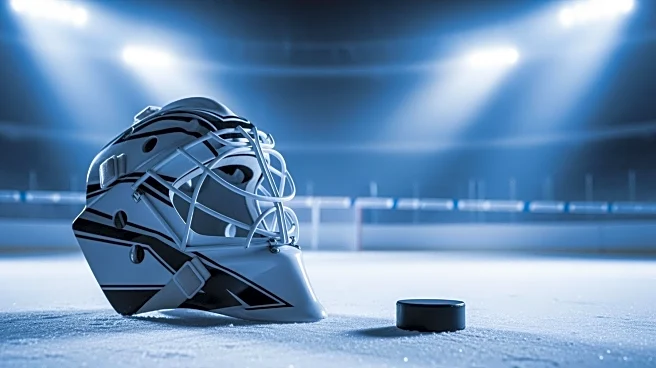 Ducks' Lukas Dostal Secures Shootout Victory Against Flames