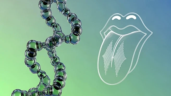 GLP-1 Drugs Influence Food Cravings and Taste Perception, Study Finds