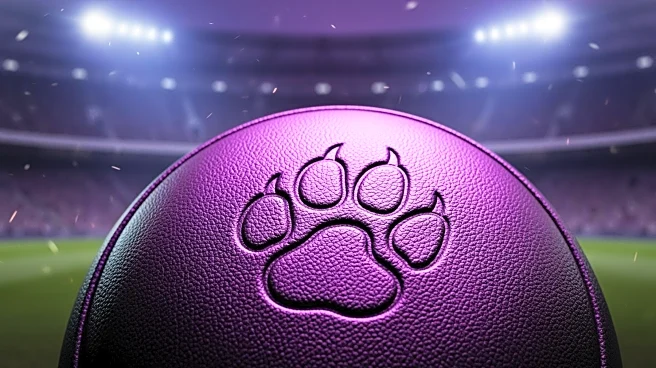 Nick Martinelli Leads Northwestern Wildcats to Victory Amid Challenging Season