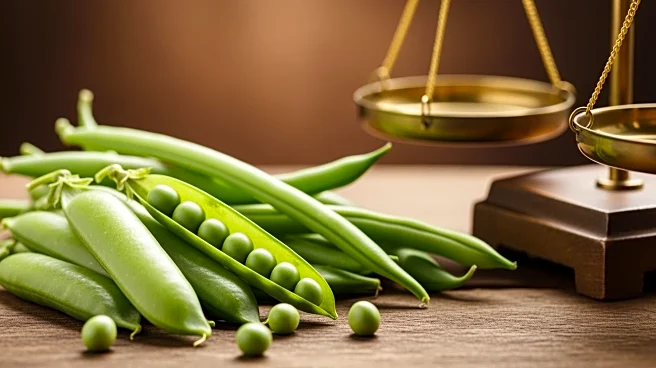 B Foods Sells Green Giant Frozen-Veg Business to Seneca Foods, Aims to Reduce Debt