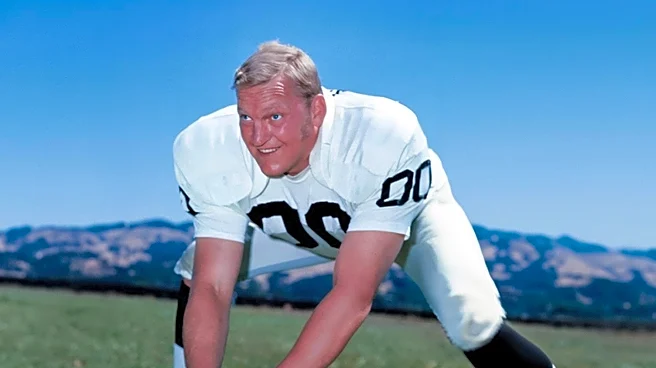 David Pollack's 'Every Day Counts' Offers Life Lessons from a Career-Ending Injury