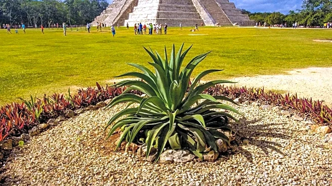 Top Travel Insurance Options for Mexico Trips Amidst Uncertainties