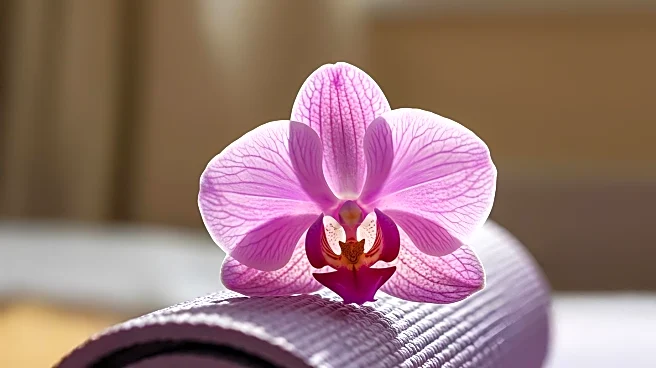 Holistic Health Fair to Host Two-Day Wellness Event in Kalamazoo