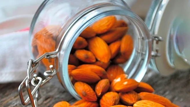 Dietitians Highlight Health Benefits of Daily Almond Consumption for Gut and Heart Health