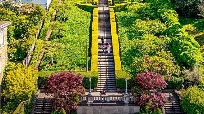 Exploring Los Angeles: Iconic Staircase Walks Offer Architectural and Scenic Views