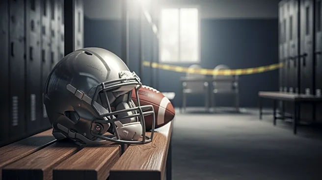 Houston Texans to Release Safety Jimmie Ward Following Legal Troubles