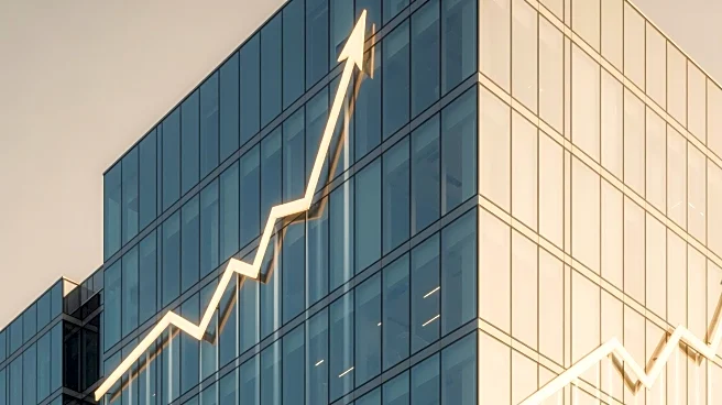 On Holding Reports 30% Revenue Increase, Projects Continued Growth