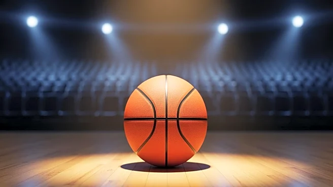 Towson Triumphs Over Stony Brook with Williamson's 28-Point Performance