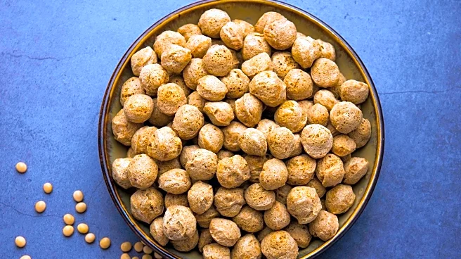 Dietitian Shares Strategies for Consuming 100 Grams of Protein Daily