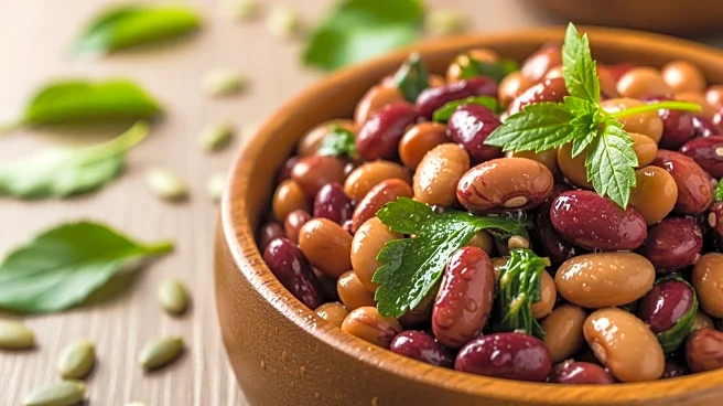 Wildbrine Launches Innovative Fermented Bean Salads, Expanding Health Food Options