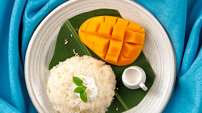 Kalamazoo Hosts Southeast Asian Food Festival with Free Events