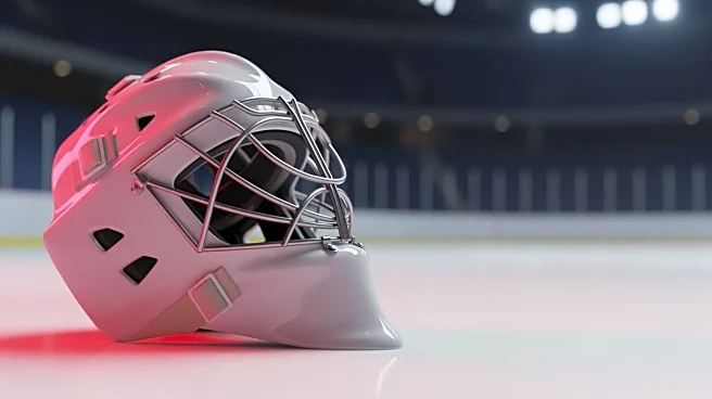 Detroit Red Wings Recall Goaltender Sebastian Cossa Under Emergency Conditions