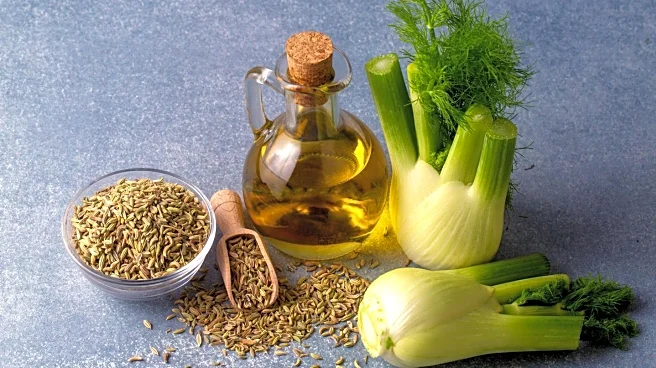 Study Highlights Impact of Anti-Inflammatory Diet on Beige Adipocytes