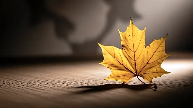 Maple Leaf Foods Projects Slower EBITDA Growth Amid Economic Uncertainty